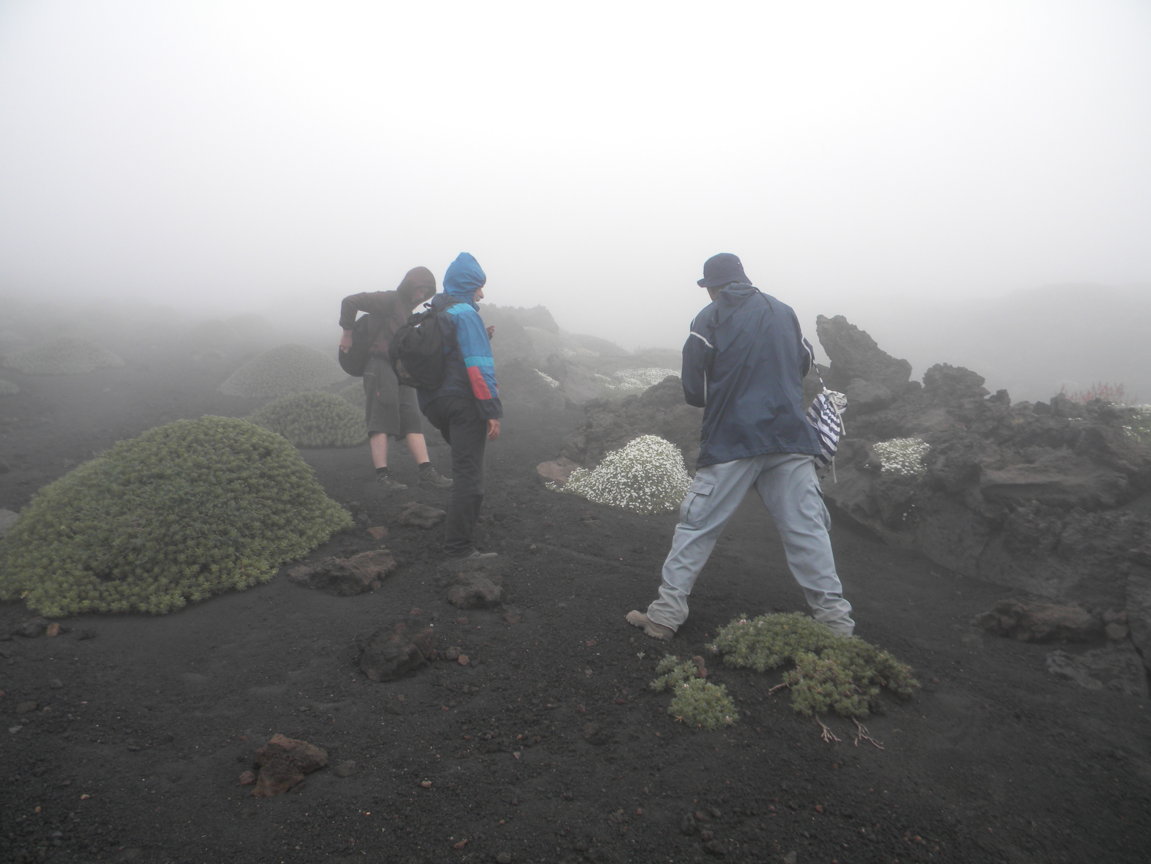 DSCN9529 .JPG